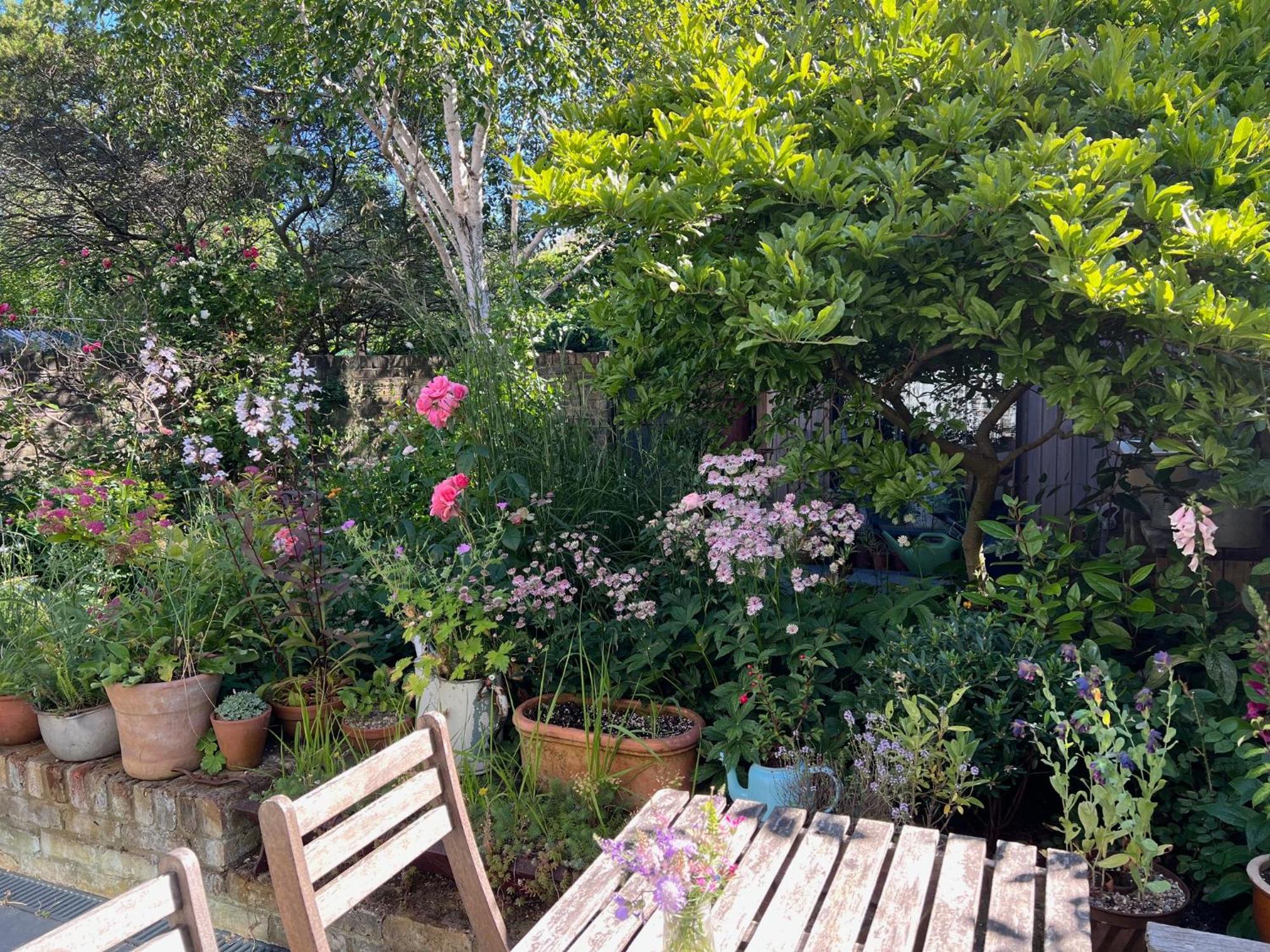 Bright And Elegant 2 Bedroom Flat, Near Notting Hill Лондон Екстер'єр фото
