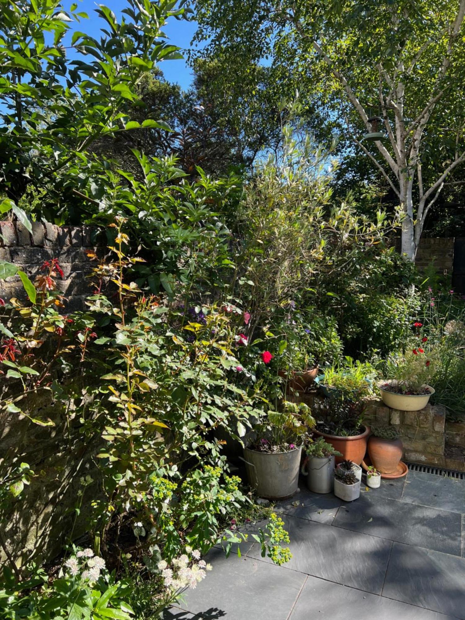 Bright And Elegant 2 Bedroom Flat, Near Notting Hill Лондон Екстер'єр фото